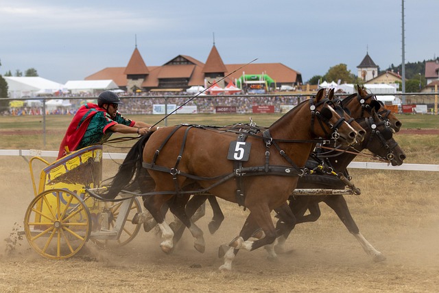 分的信任和 分的信任和