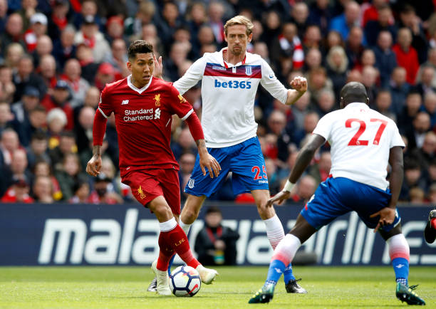 冠军身份自 冠军身份自