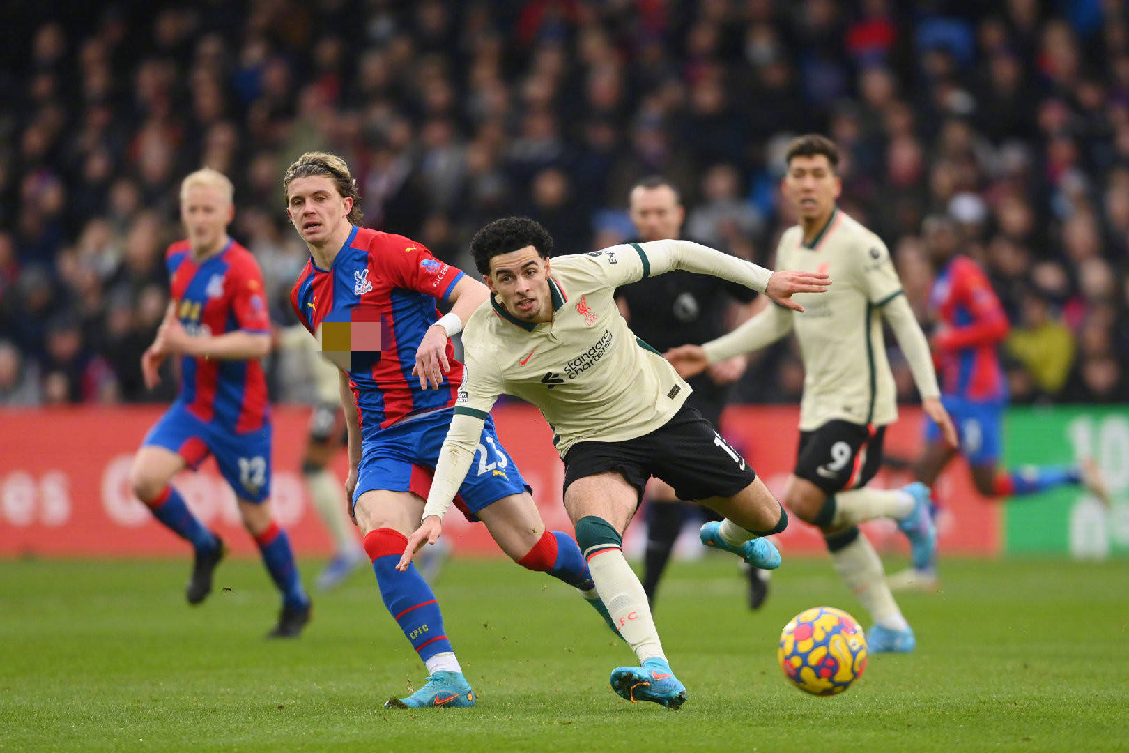 中会有更加 中会有更加