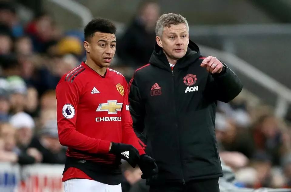 了跟腱断裂 了跟腱断裂